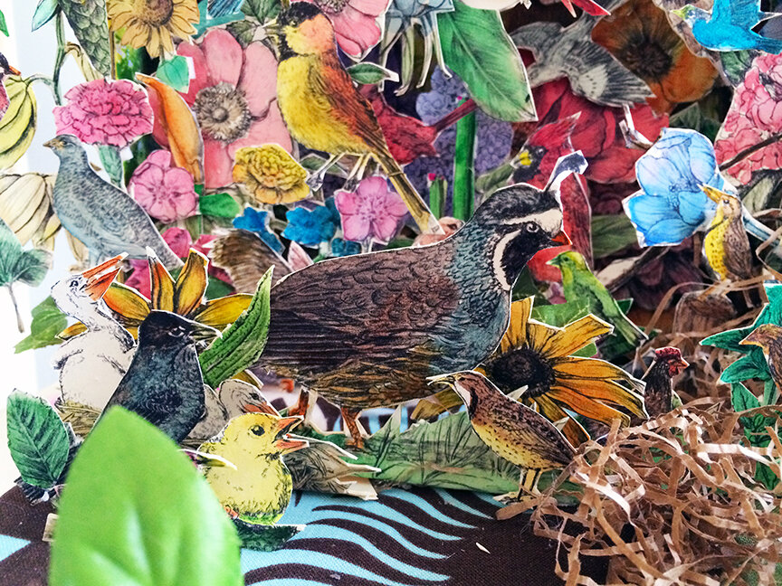 Detail - State Birds and Flowers Cigar Box Diorama, 2016