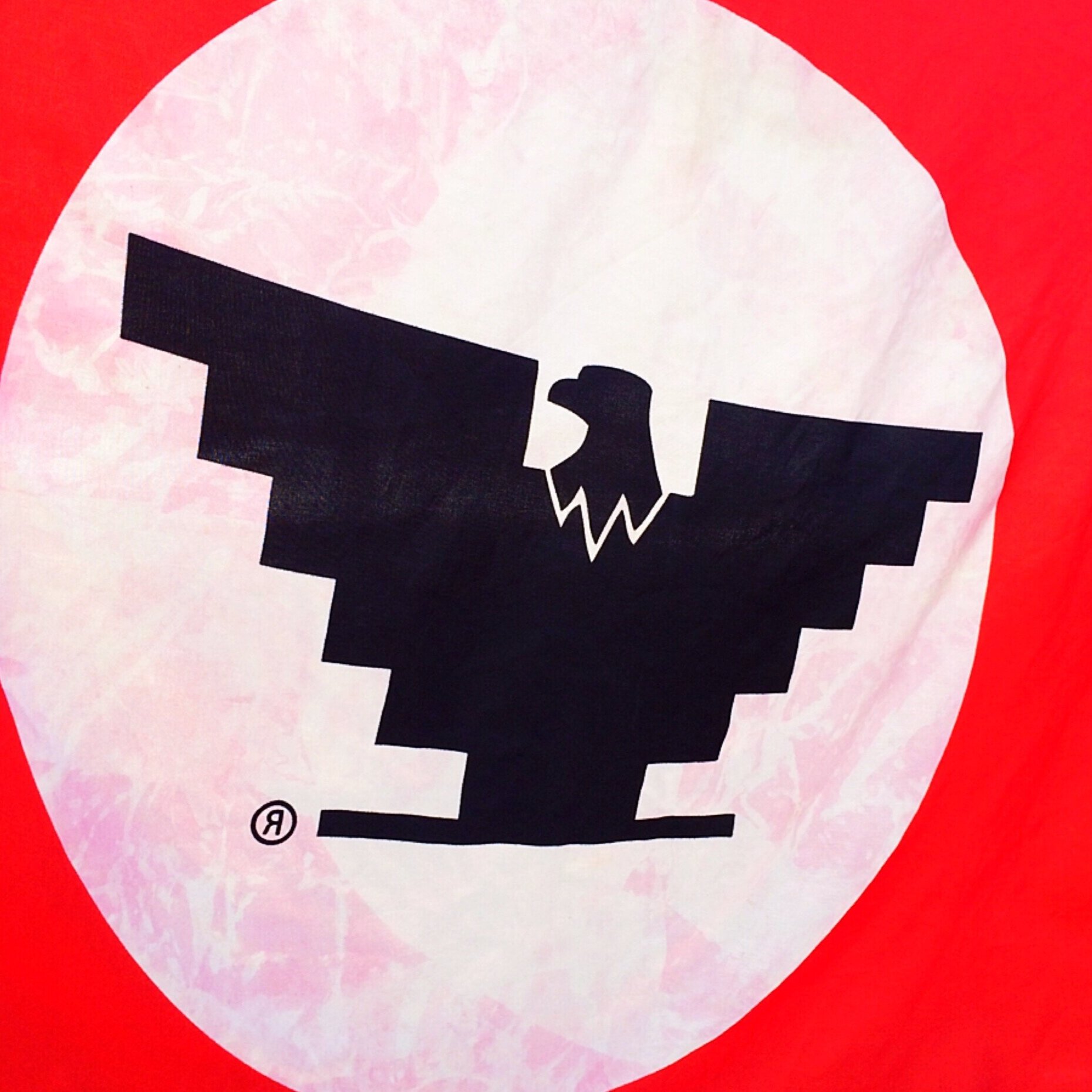 UFW Flag