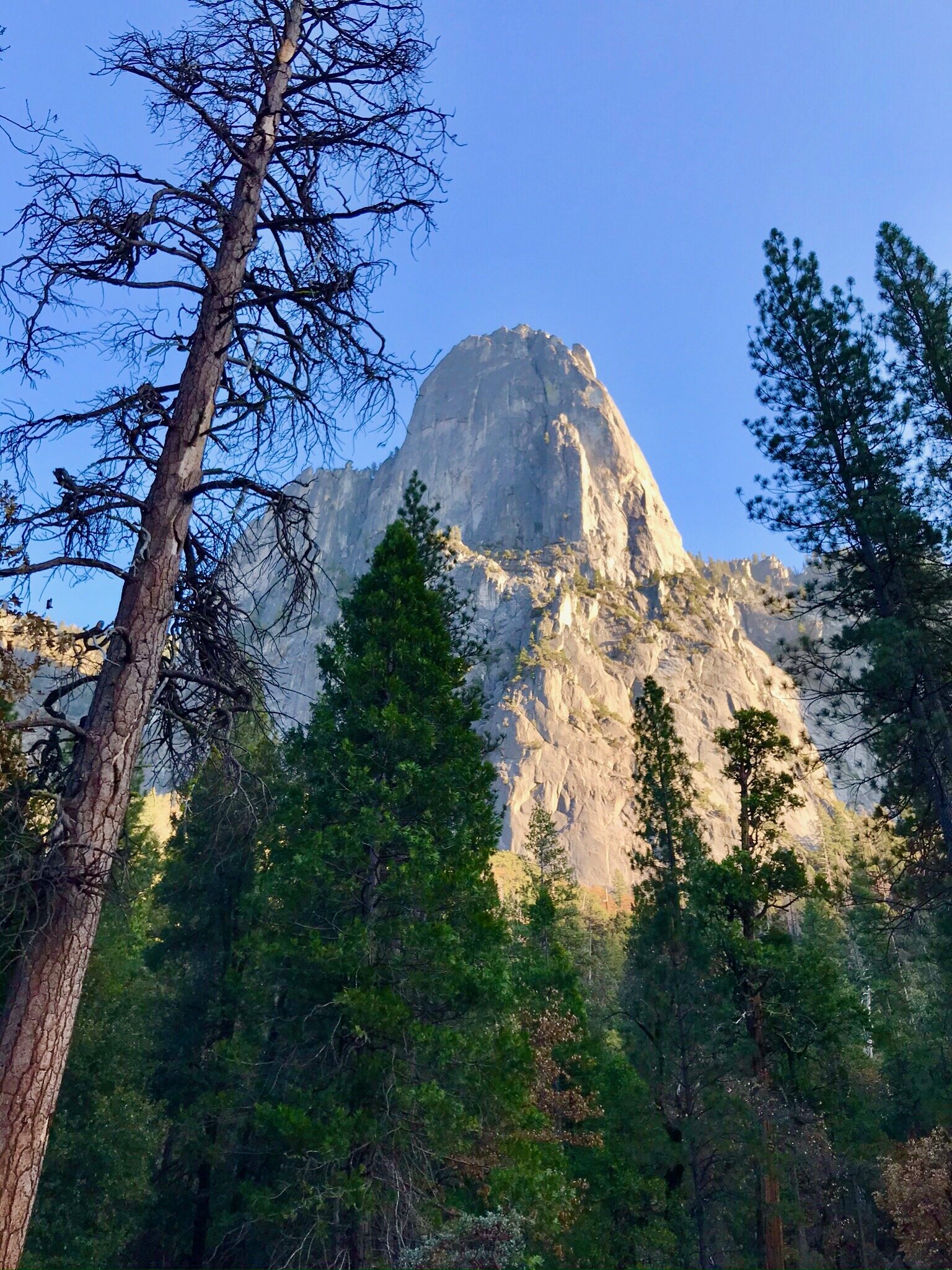 Magestic Yosemite