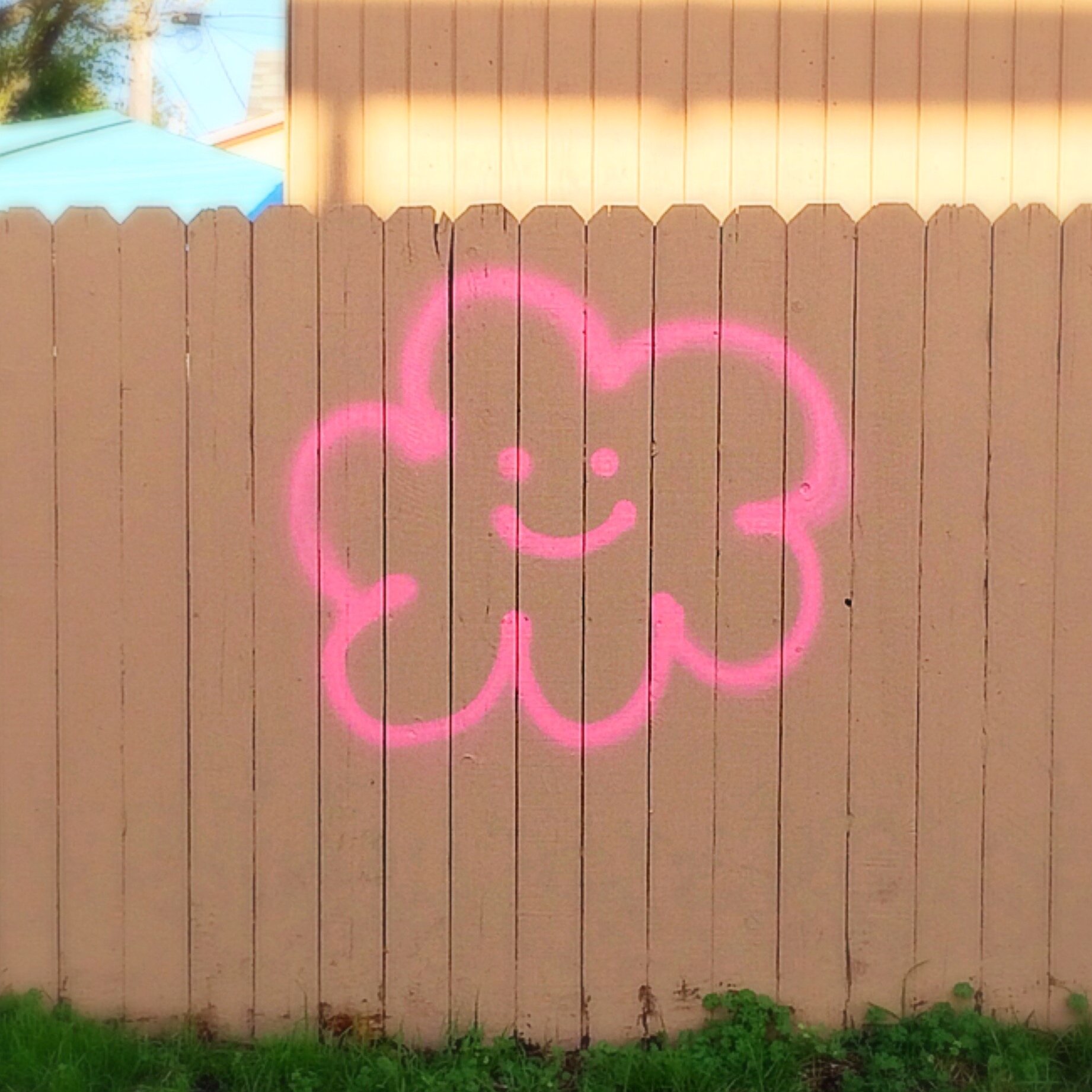 Graffiti Flower, Albany, CA