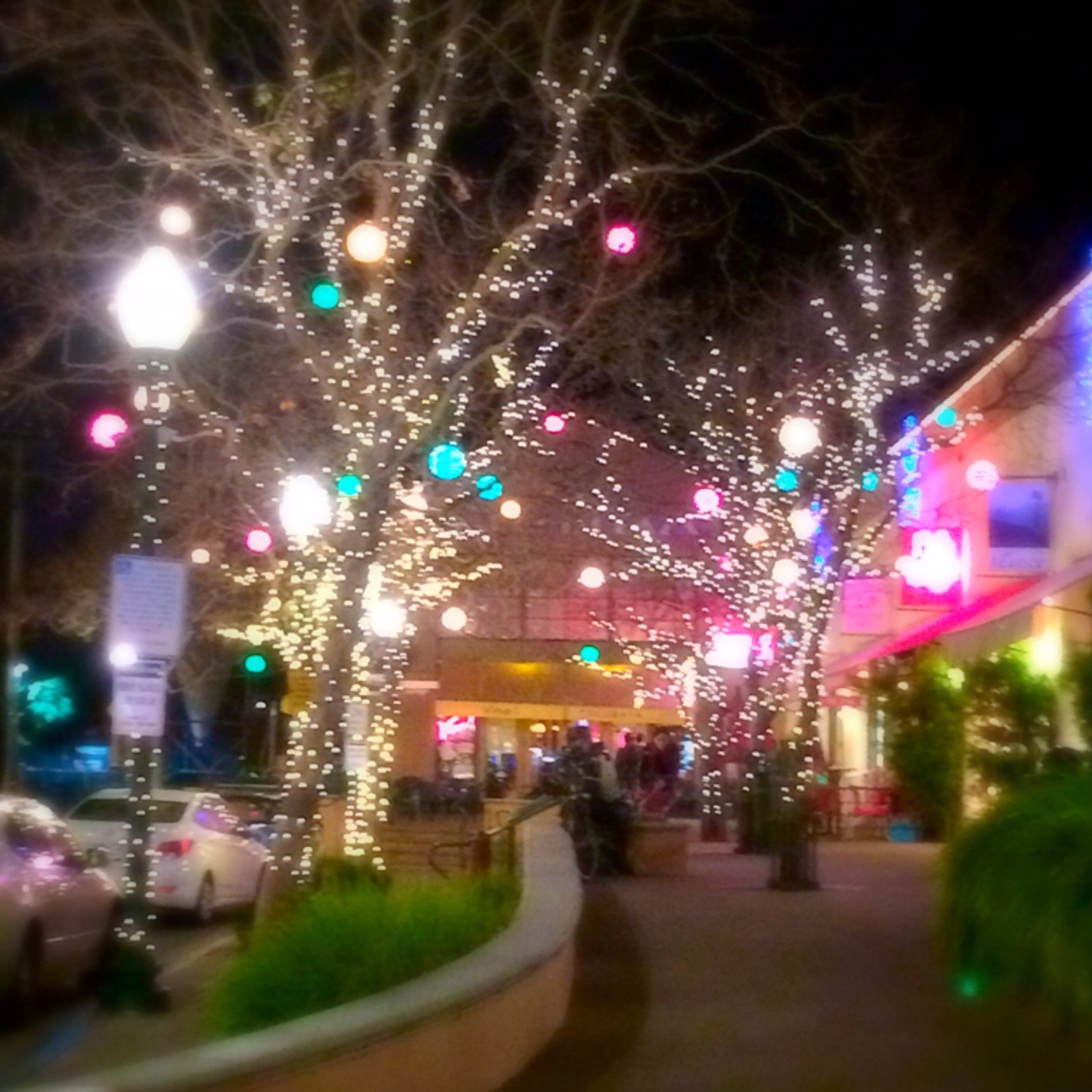 Fourth Street Christmas Lights, Berkeley, CA