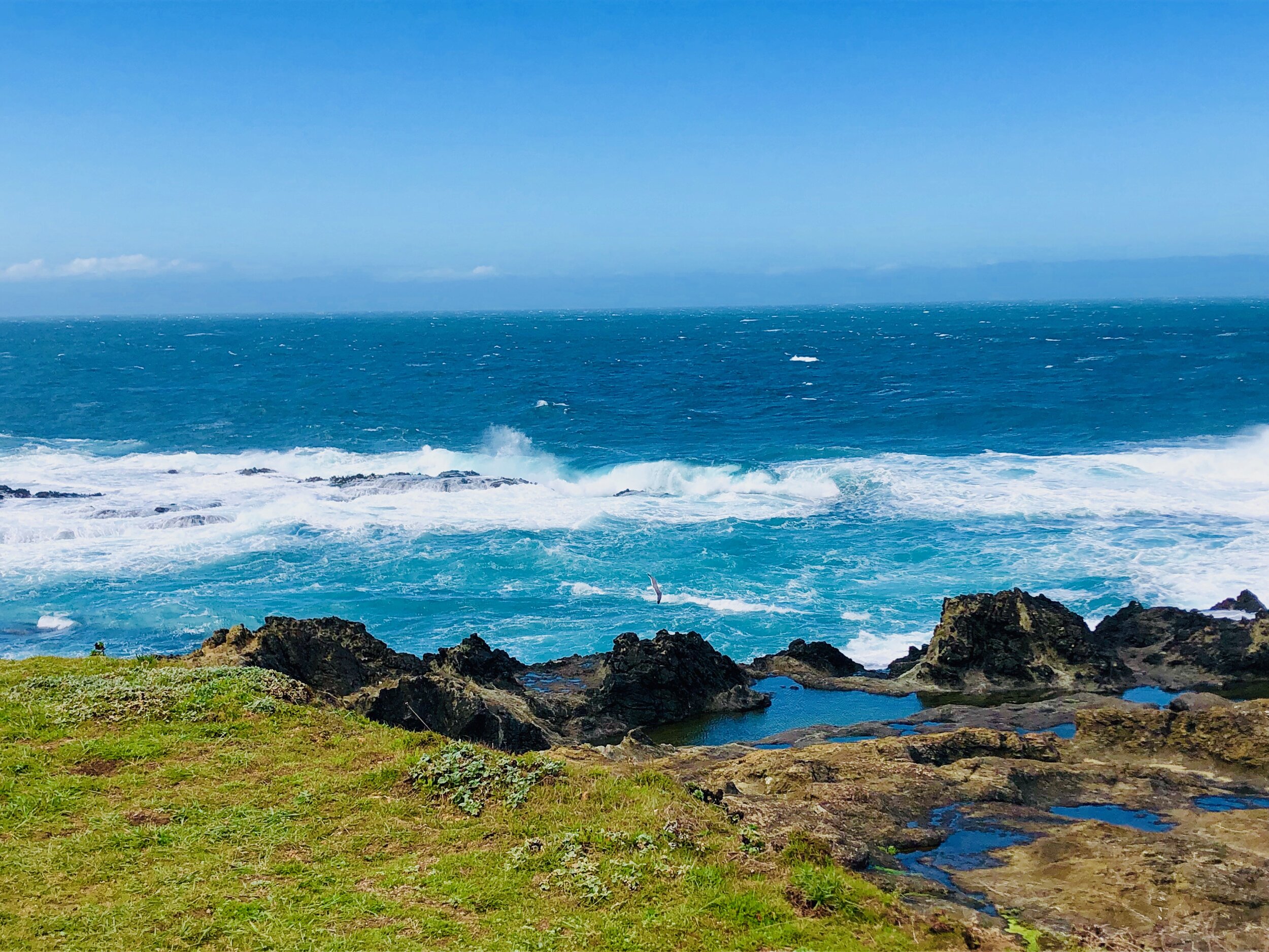 Mendocino Beach