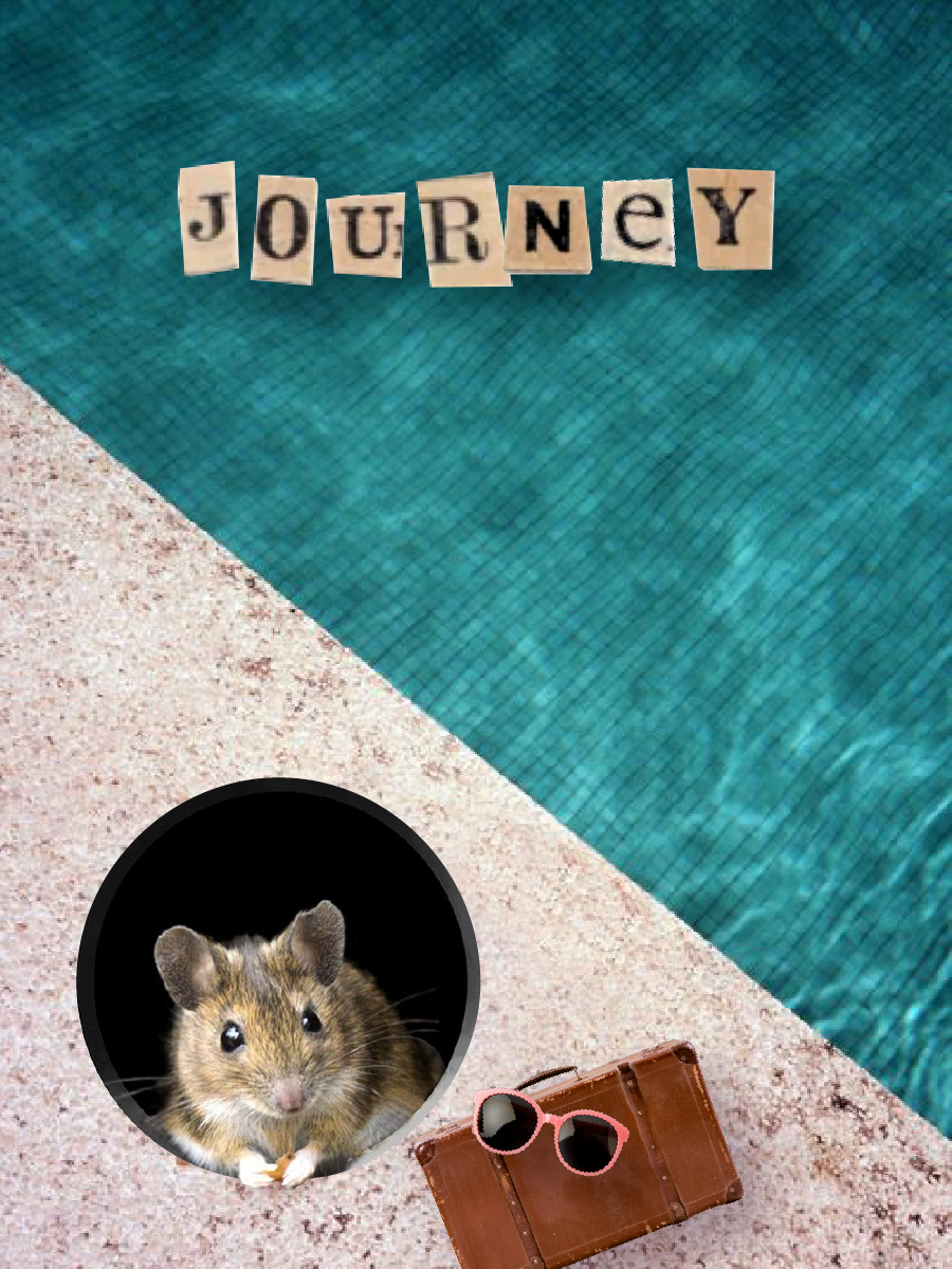 Journey.png