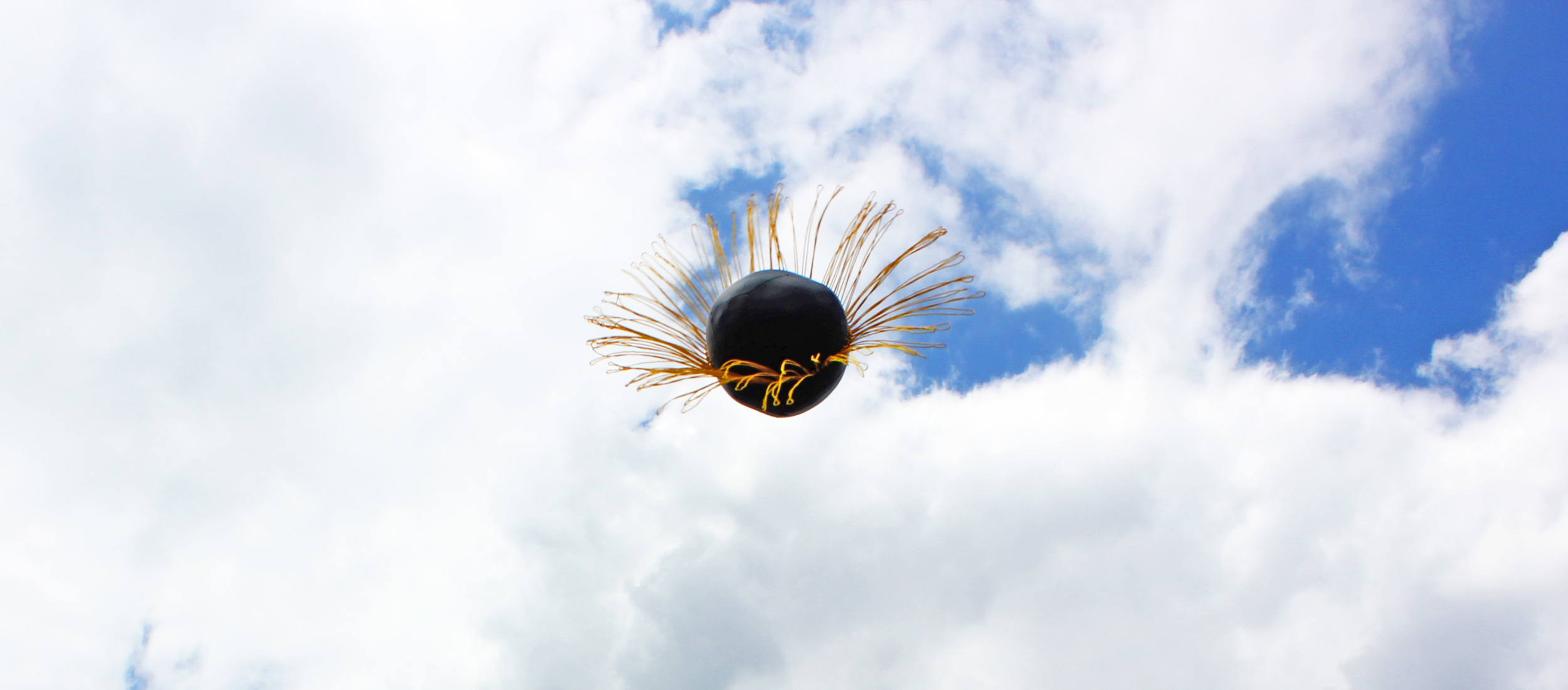 Gravity Ball Fly Ball (action shot)