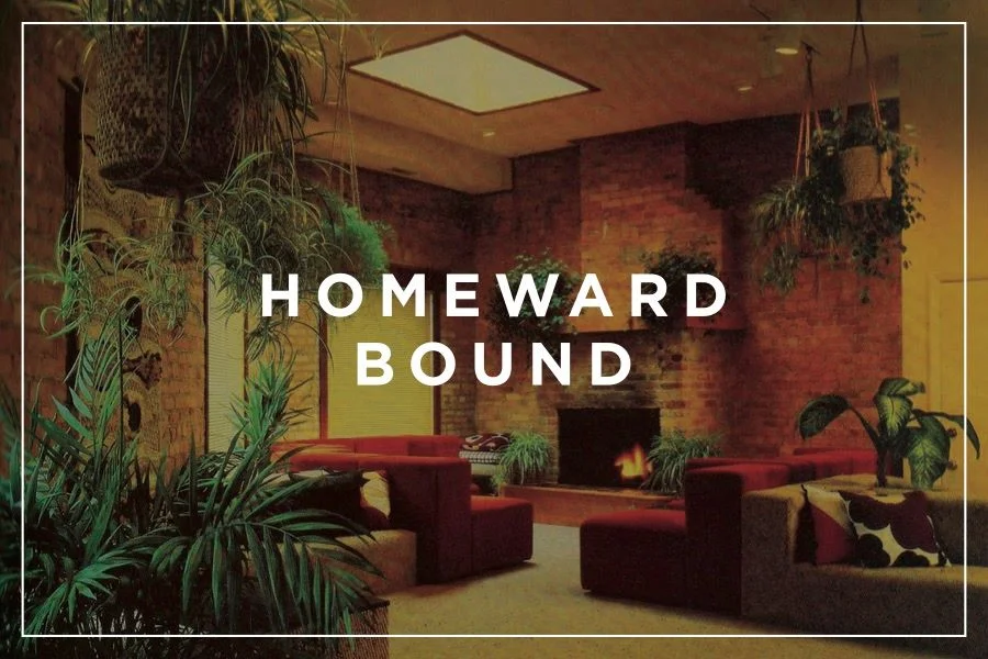 Homeward Bound