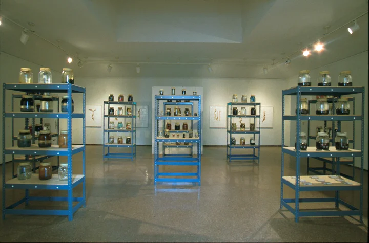 "The Strand Line Series" 1994, Installation view, Hunt Cavanagh Gallery, Providence RI