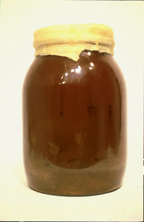"The Strand Line Series" 1991-1994, Specimen taken from the strand line, Long Beach/Lido Beach NY, catalogued and sealed
