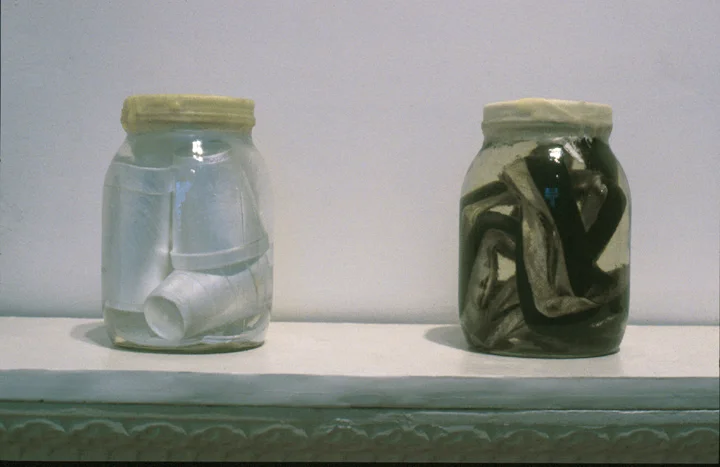 "The Strand Line Series" 1991-1994, Specimen taken from the strand line, Long Beach/Lido Beach NY, catalogued and sealed