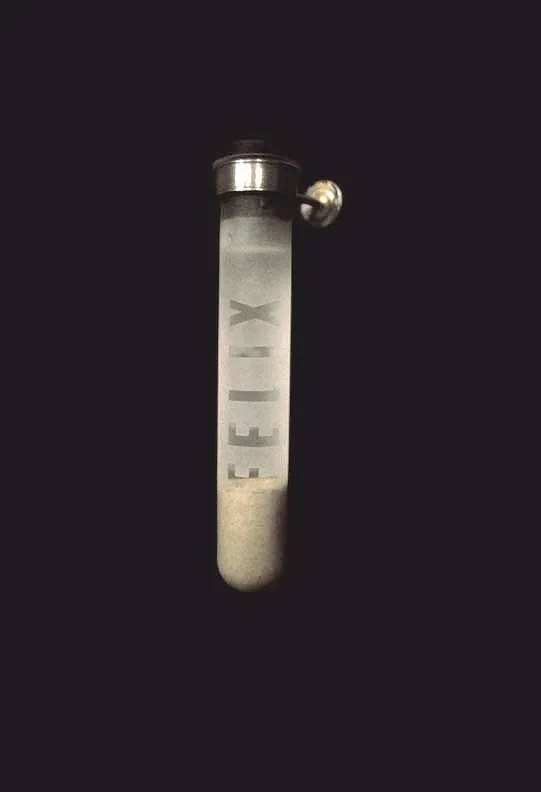 "Felix" 1998, detail, glass test tube, locational sample of sand and ocean water