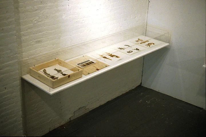 "Container for 10 Drawings" 1995, Installation view, 450 Broadway Gallery, New York, NY 