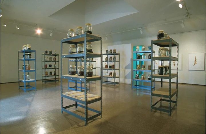 "Strand Line Series" 1994, Installation view, Hunt Cavanagh Gallery, Providence, RI