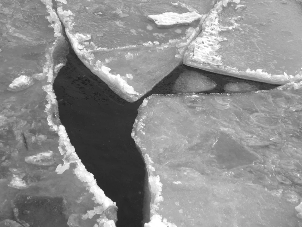 P1220165bw edit.jpg