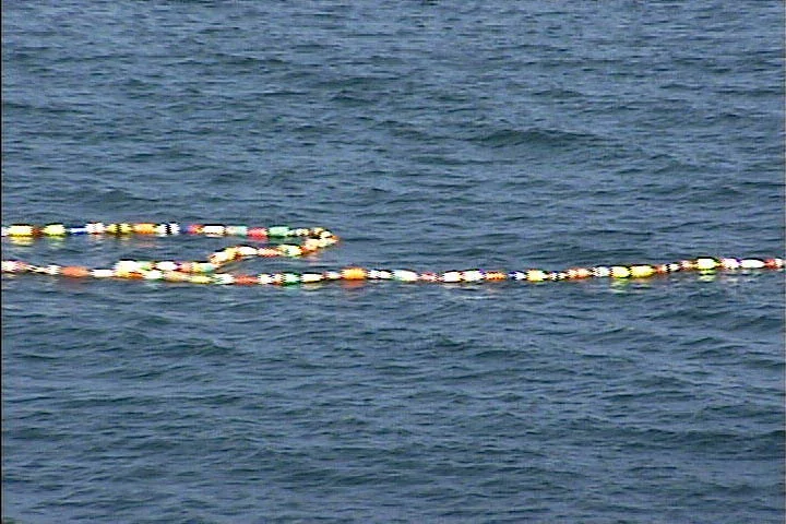 "Water Drawing" 2001, performance, video still