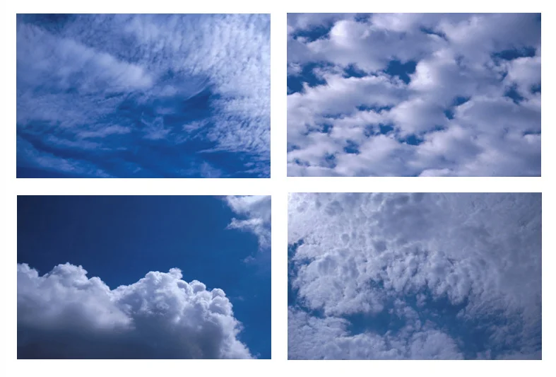 "Looking Up, Looking Down, and What's In Between - part 1" 2000, 84x64" (4x 40x30" digital c prints) Installation dimensions variable