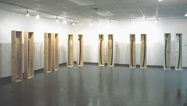 "The Point Lookout Series" 1992, Installation view, Discovery Gallery