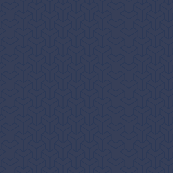 Forte-Consumer-Banner-Ad_300X250_test-2.gif