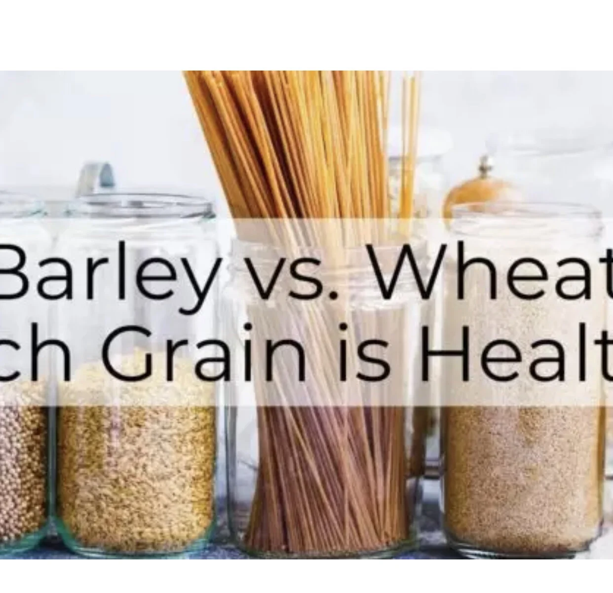 Barley vs. Wheat (click title to link to article)
