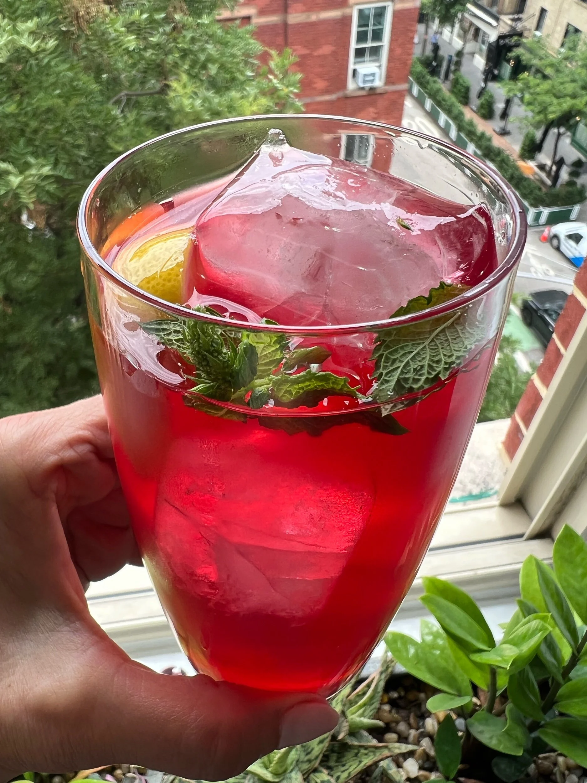 Hibiscus Iced Tea
