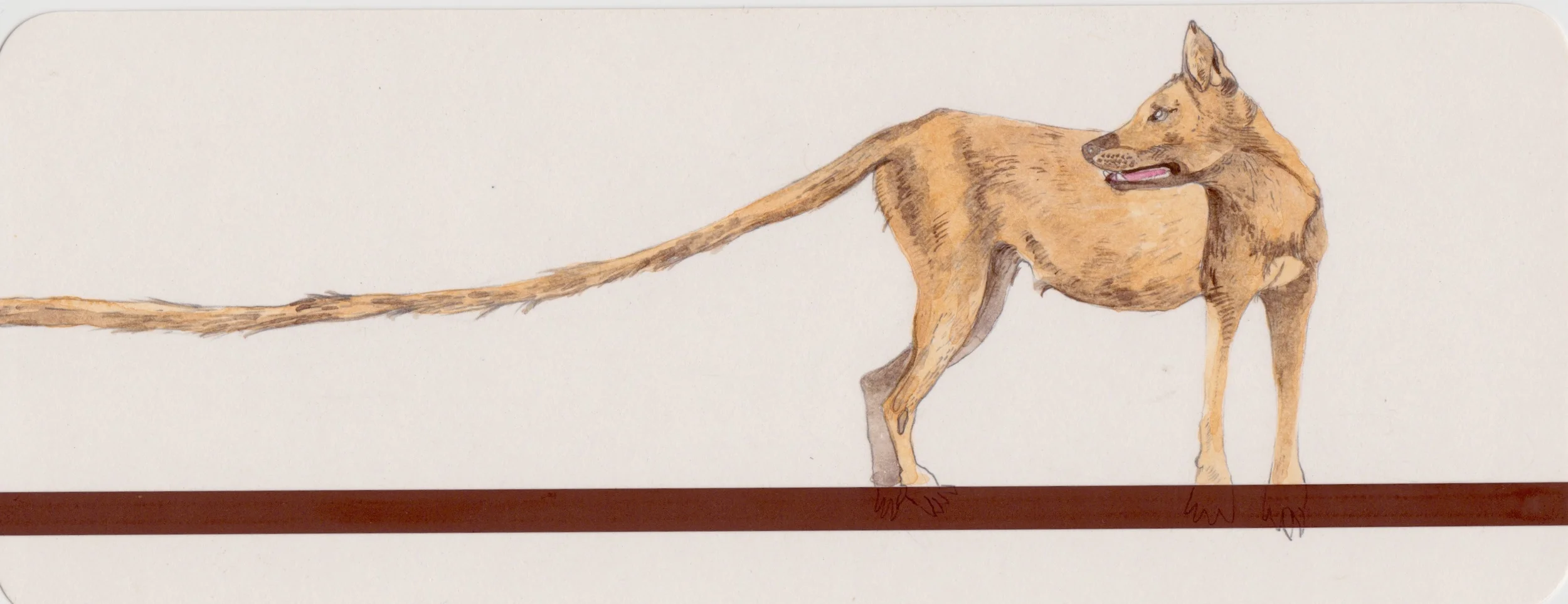  watercolor on califone magnetic card 