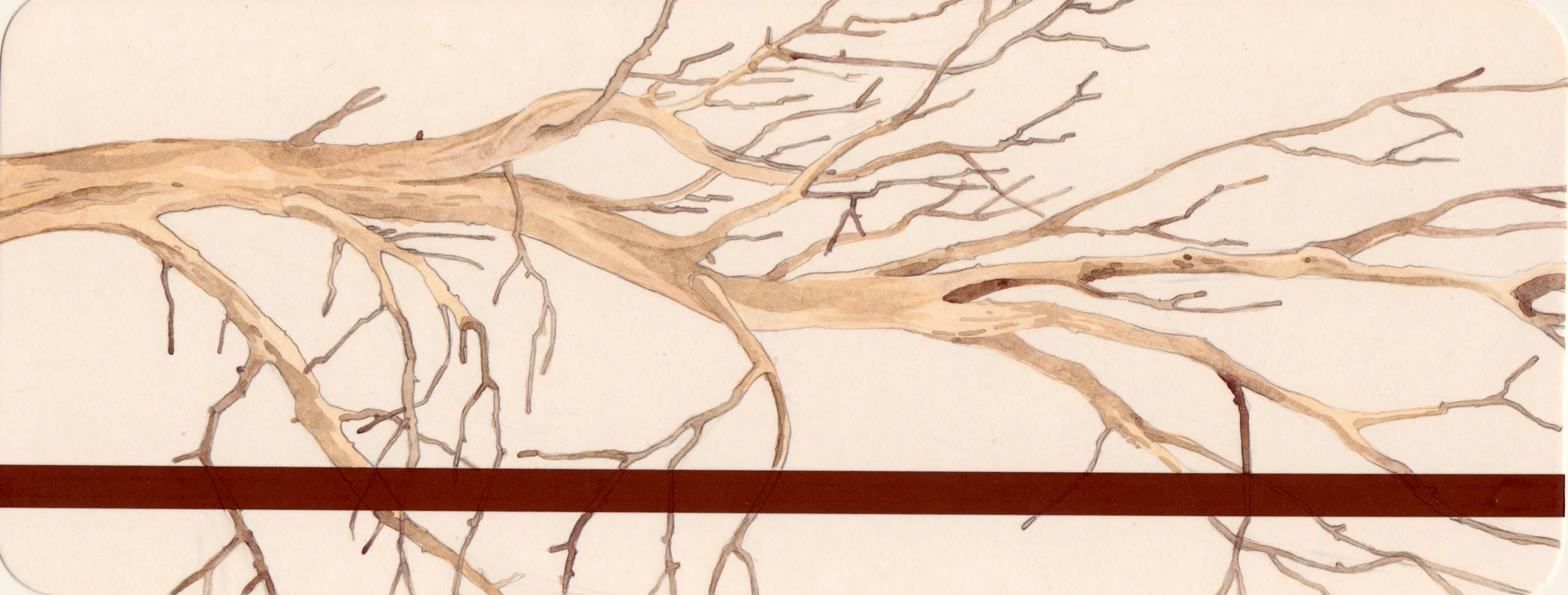  watercolor on califone magnetic card 