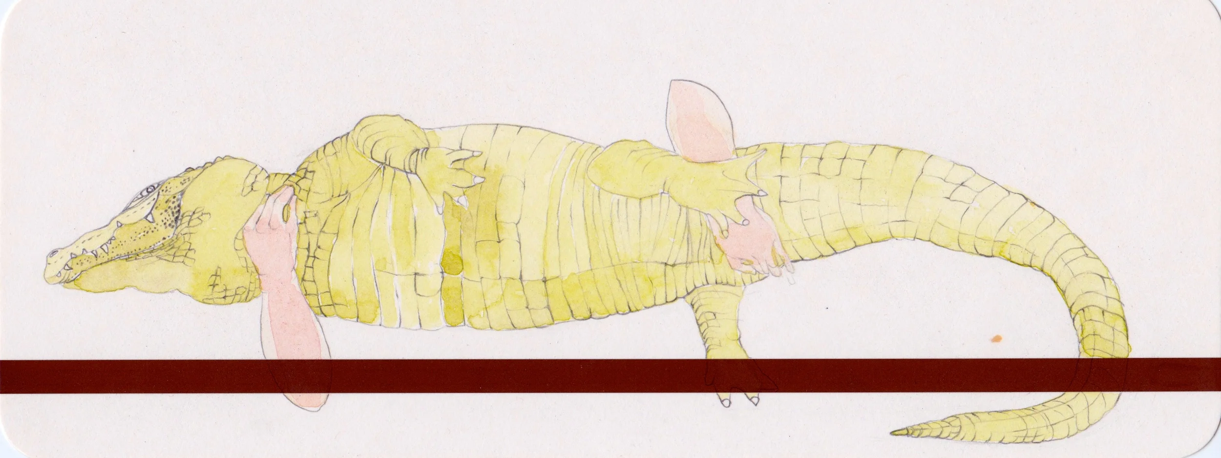  watercolor on califone magnetic card 