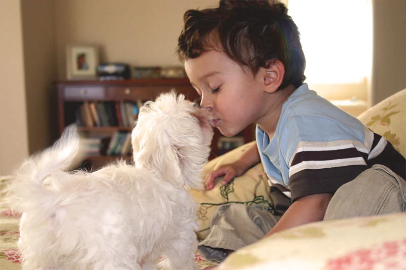 Besos acolchados