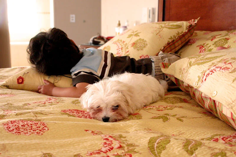 Compartiendo siesta