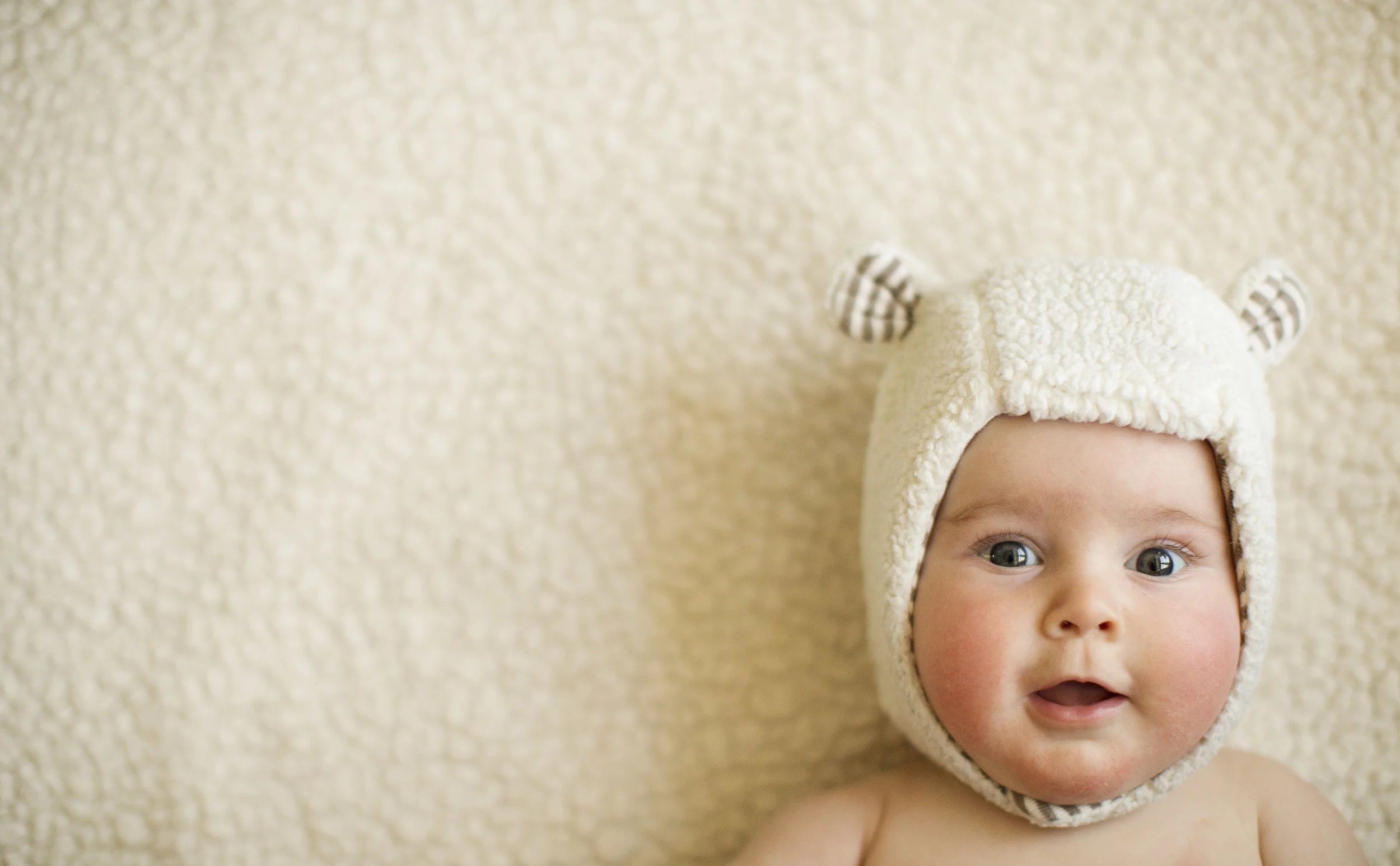 babybear3.jpg
