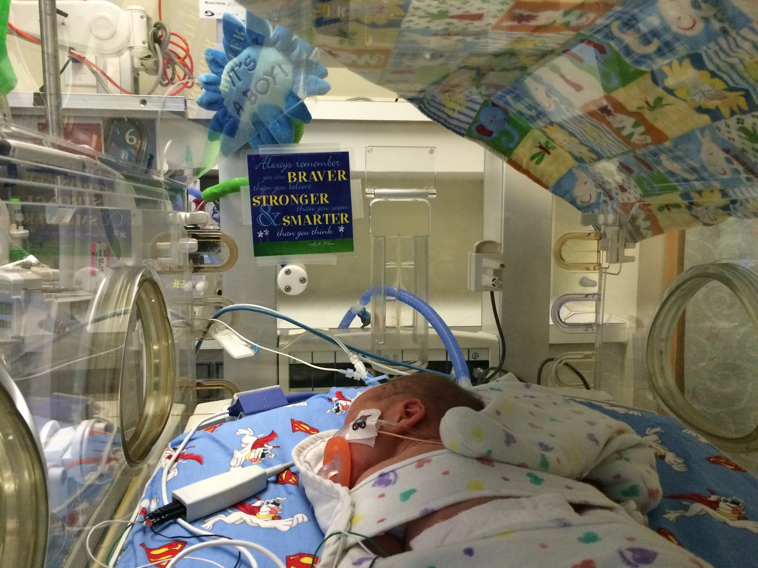 Preemie Baby Boy in incubator with NICU crib cards