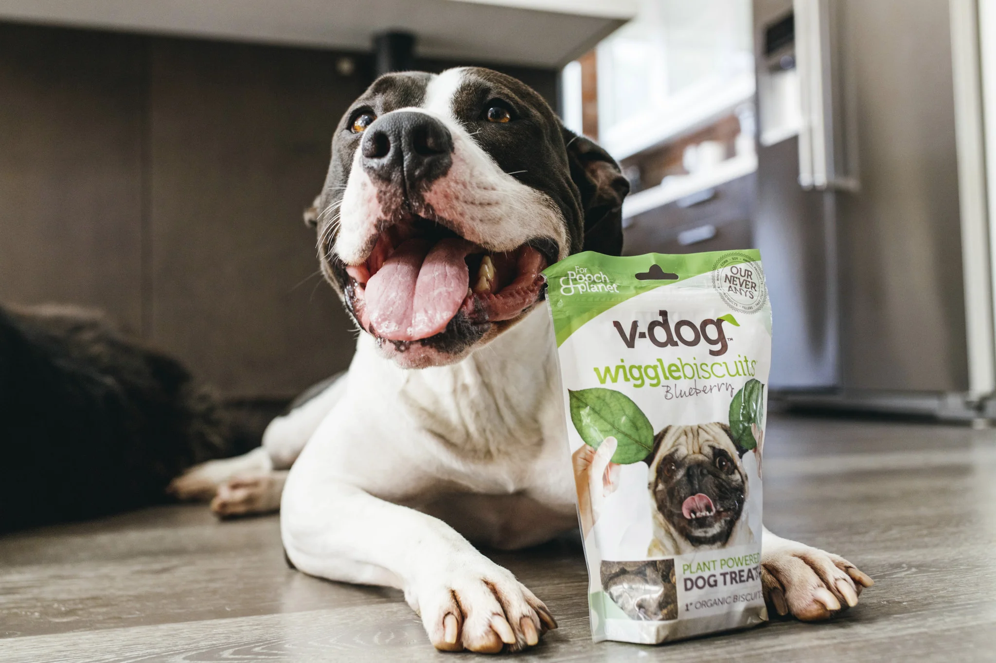 VDog Branding and Packaging — Good Stuff Partners