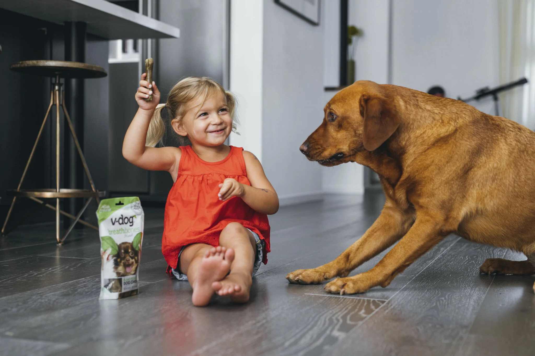v dog treats