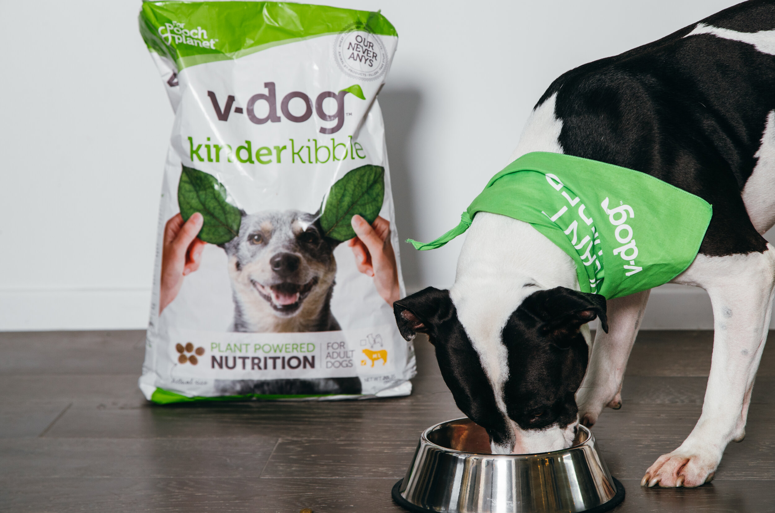 V-Dog Branding and Packaging — Good Stuff Partners