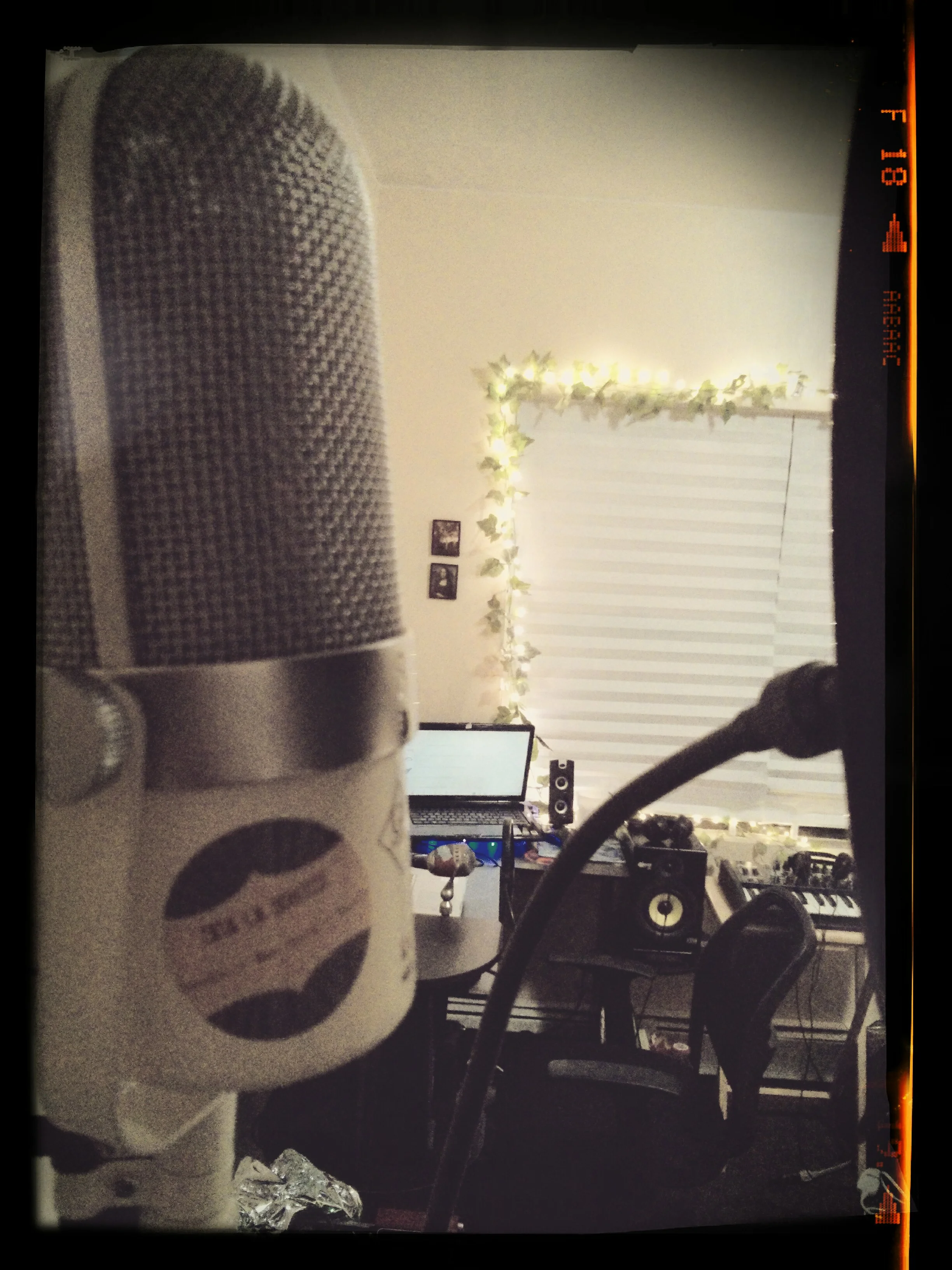 Golden Age Project R1MKII Vintage Ribbon Microphone