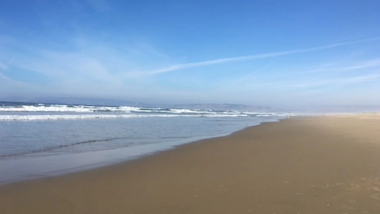 Beach-About-Anne-Marie-McCauley-The-CXO-Whisperer.jpg