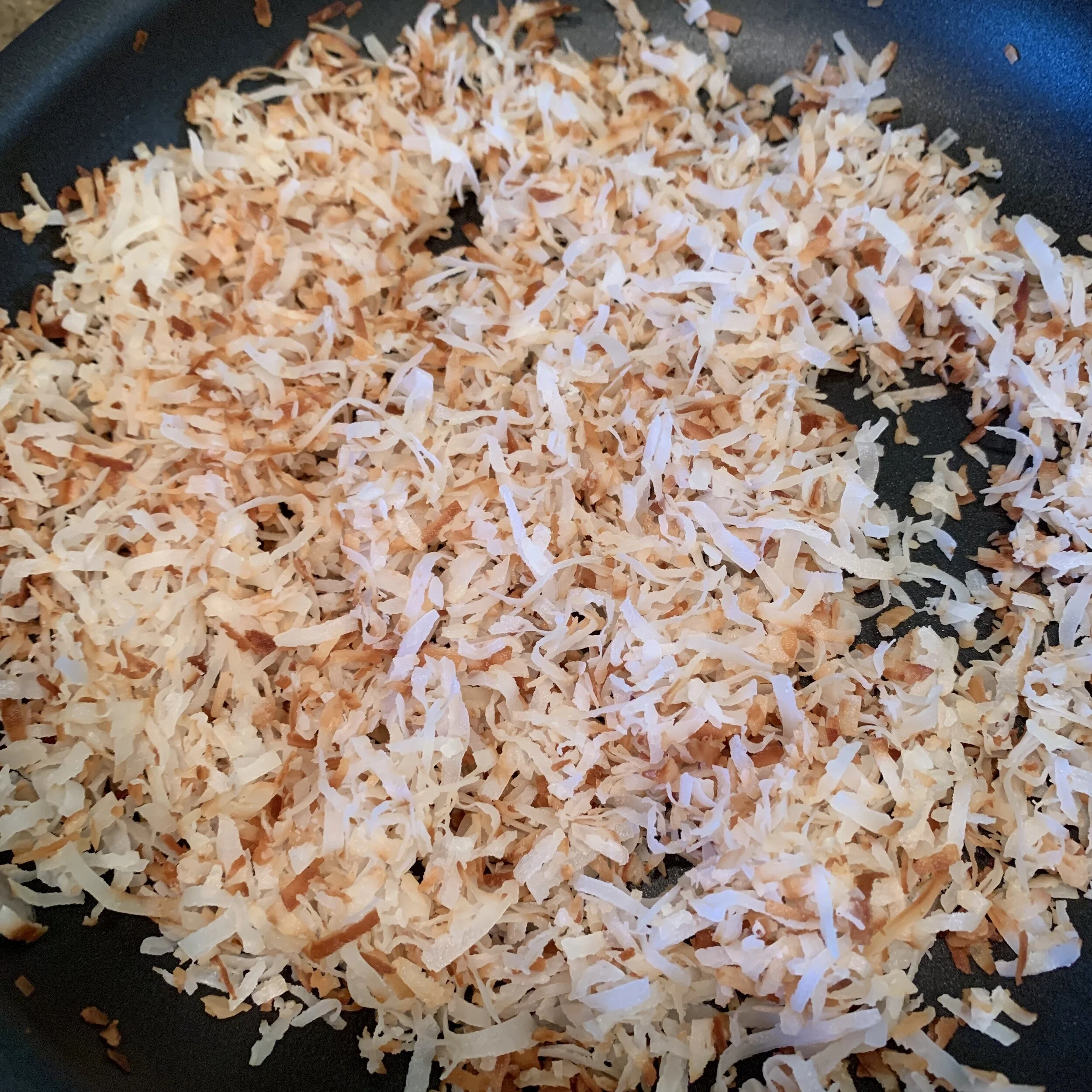 Image of toasted coconut.JPG
