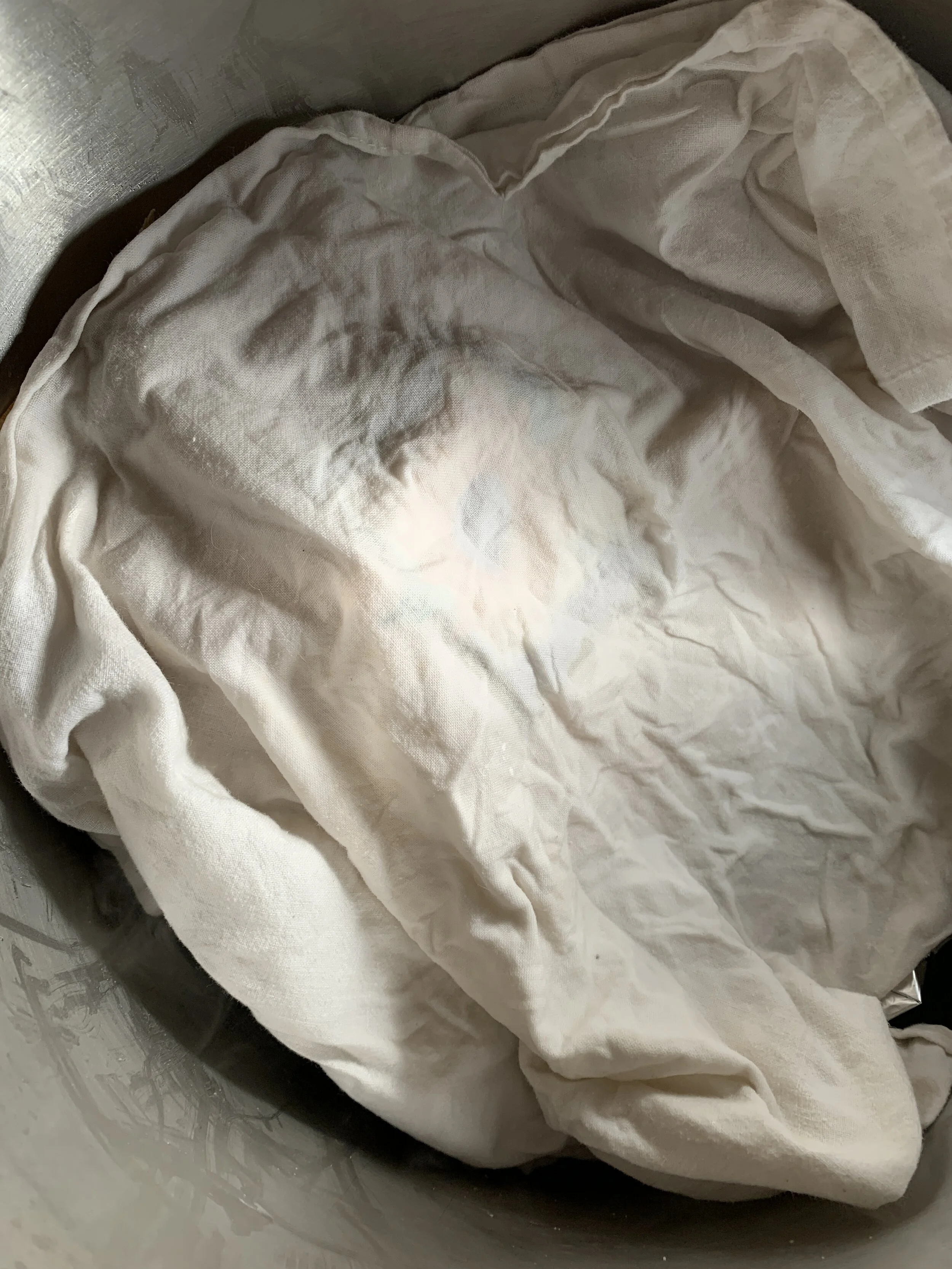 Tamales covered with 100% cotton towel.JPG