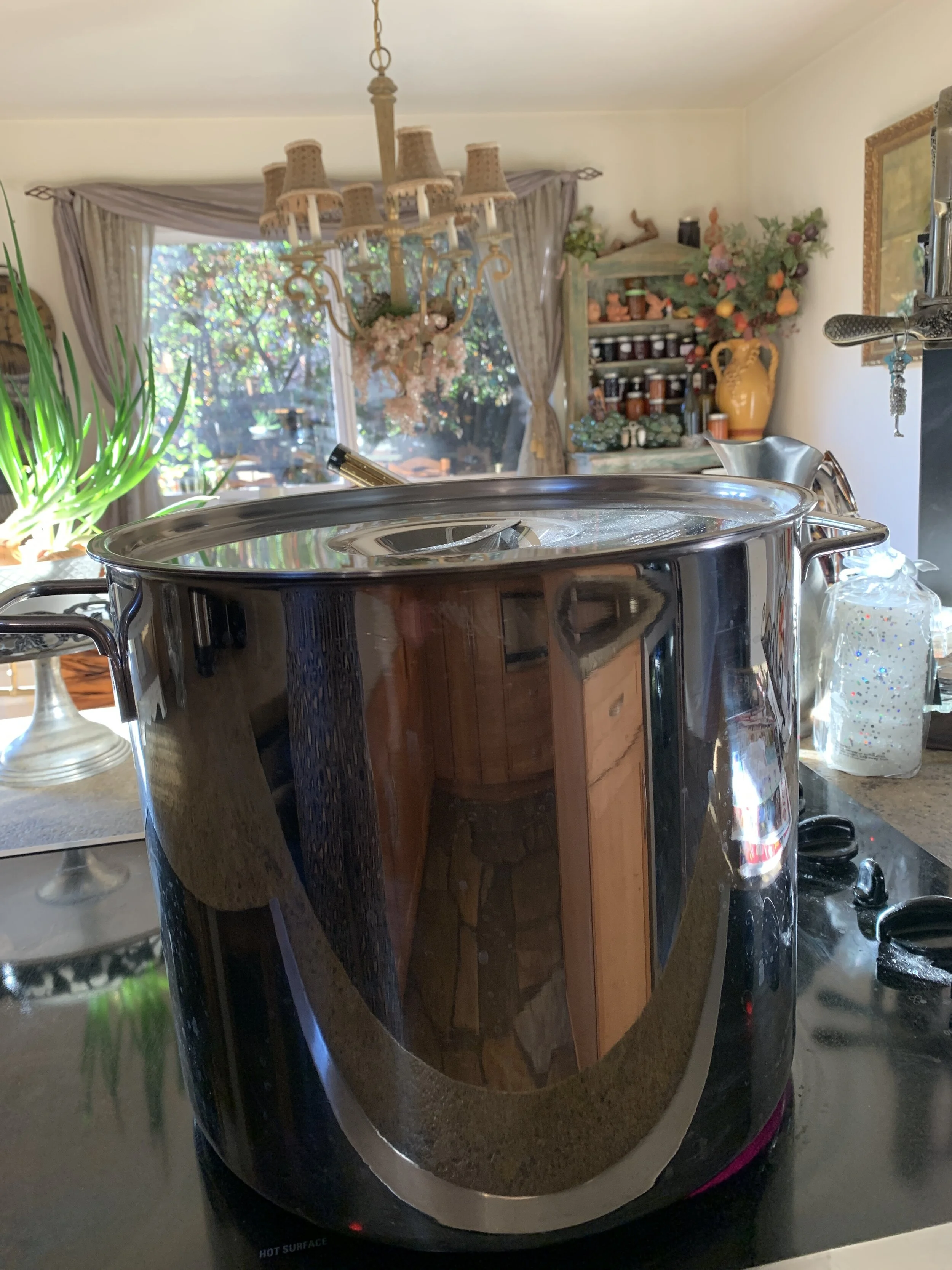 Large pot on stove.JPG