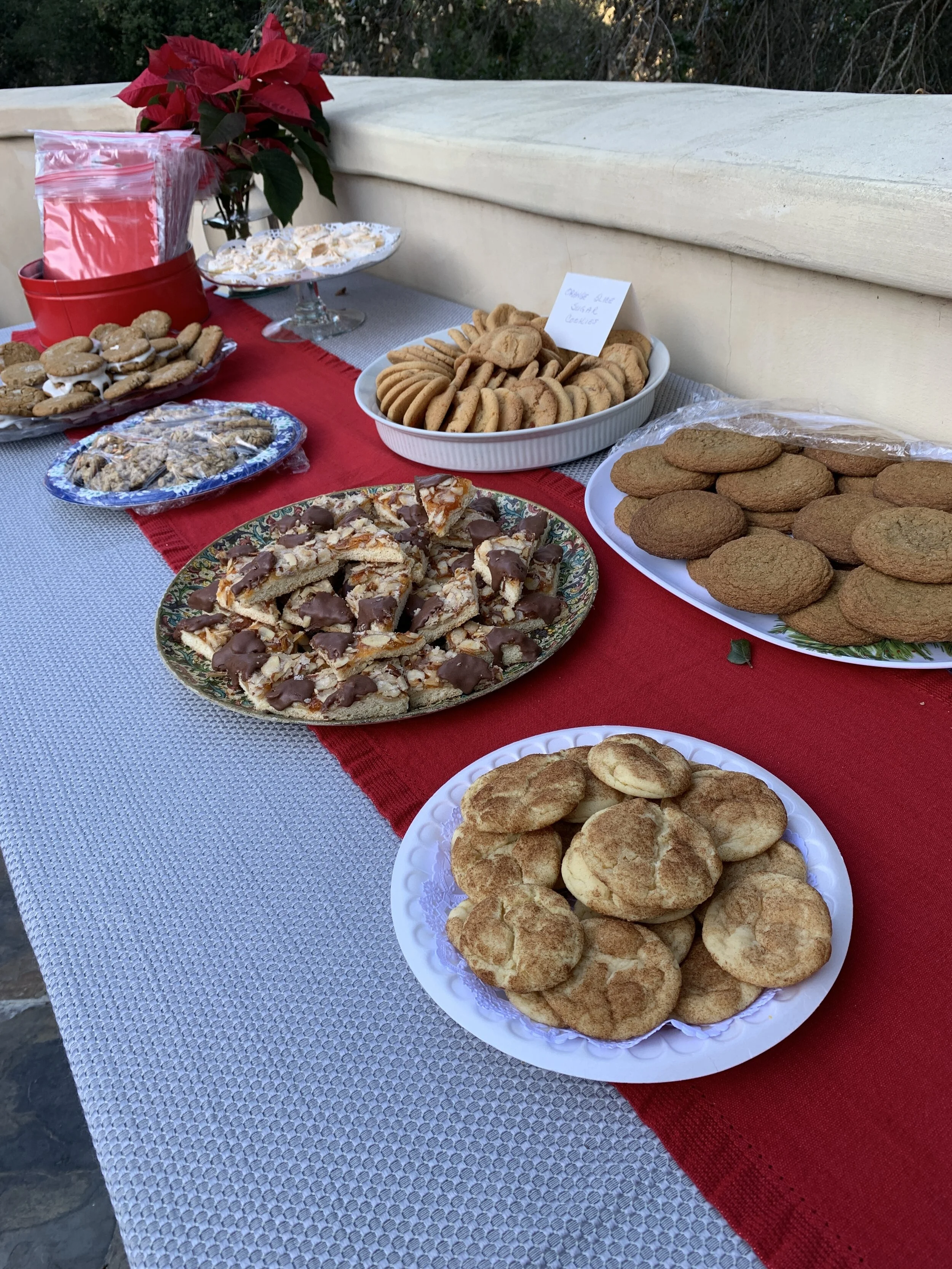 Lisa Latham Cookie Table 1:20.JPG