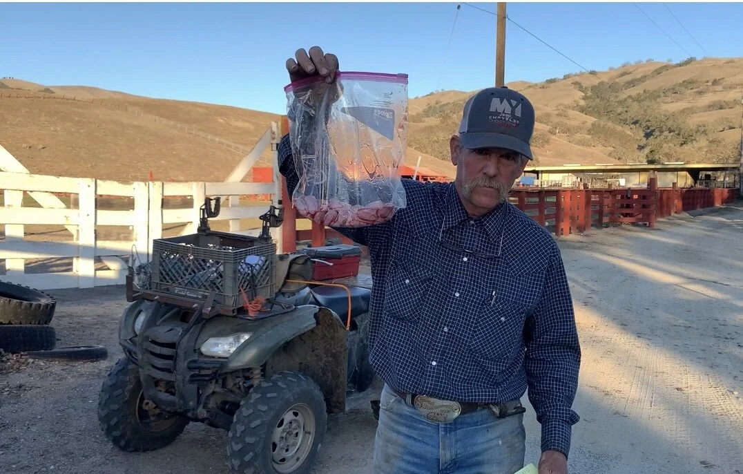 Story Behind Me, The Rancher &amp; Rocky Mountain Oysters