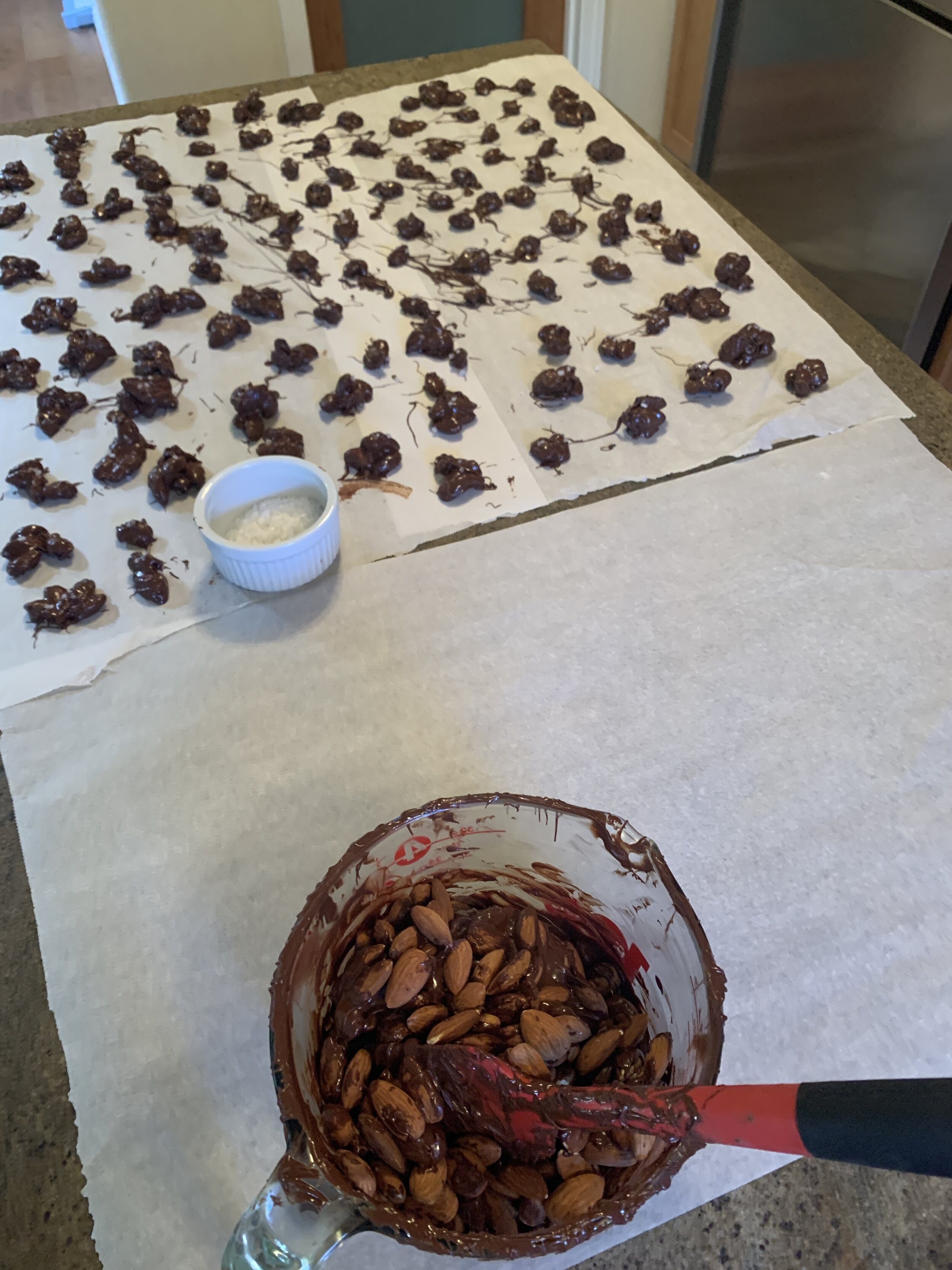 Prep Image of Chocolate covered almonds.JPG
