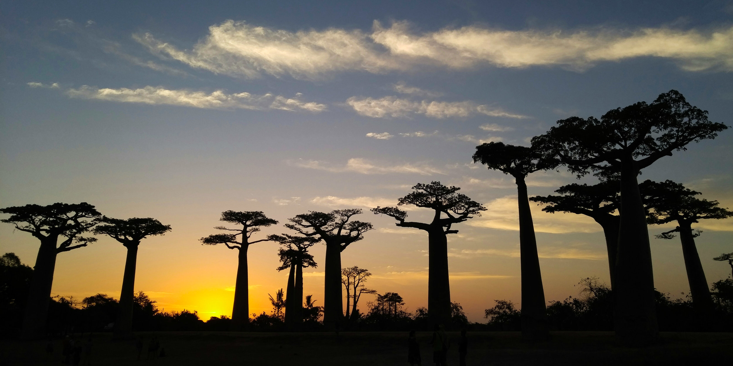 Madagascar: West — Lick Your Eyeballs