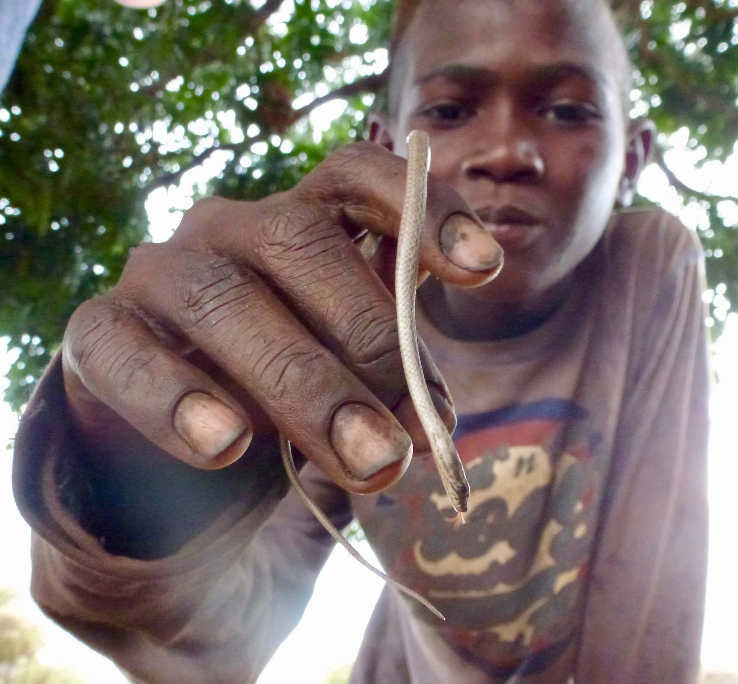 Practicing snake handling techniques with local children.