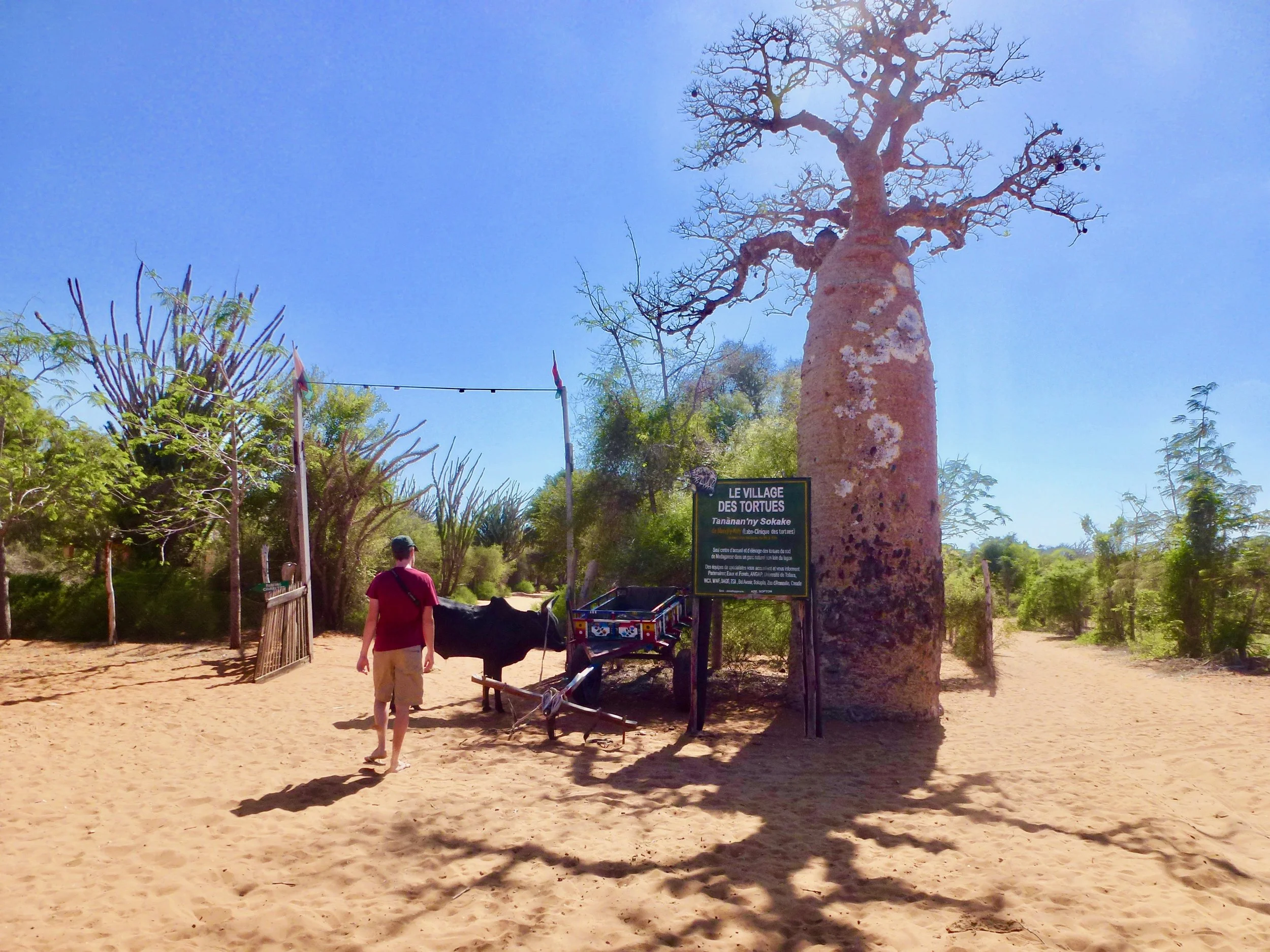 Entrance to the tortoise village.