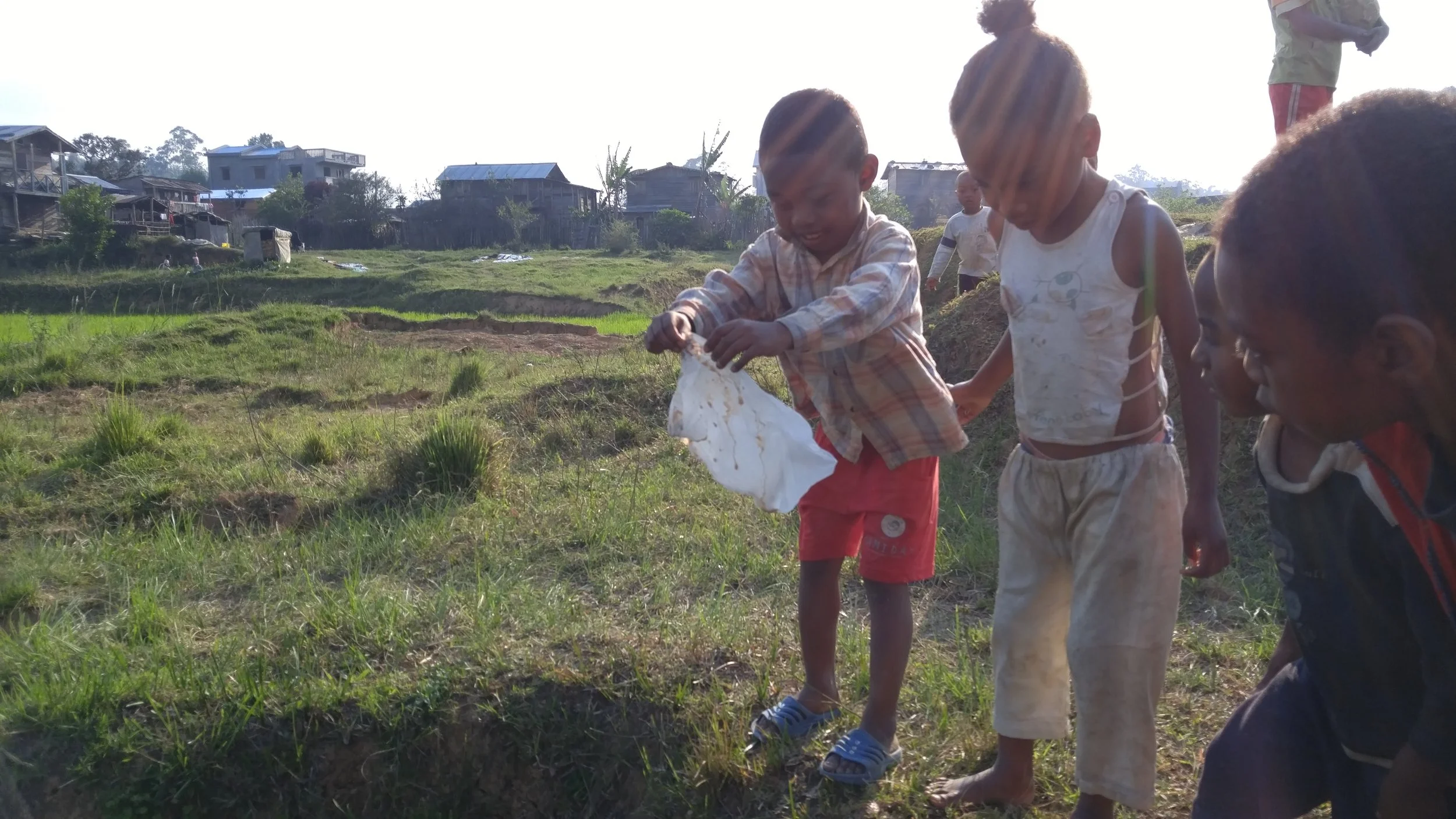 The frog release assistants.