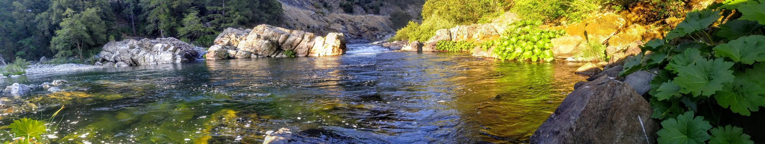Sierra Gartersnake habitat.