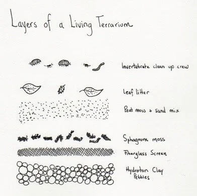 bioactive vivarium supplies