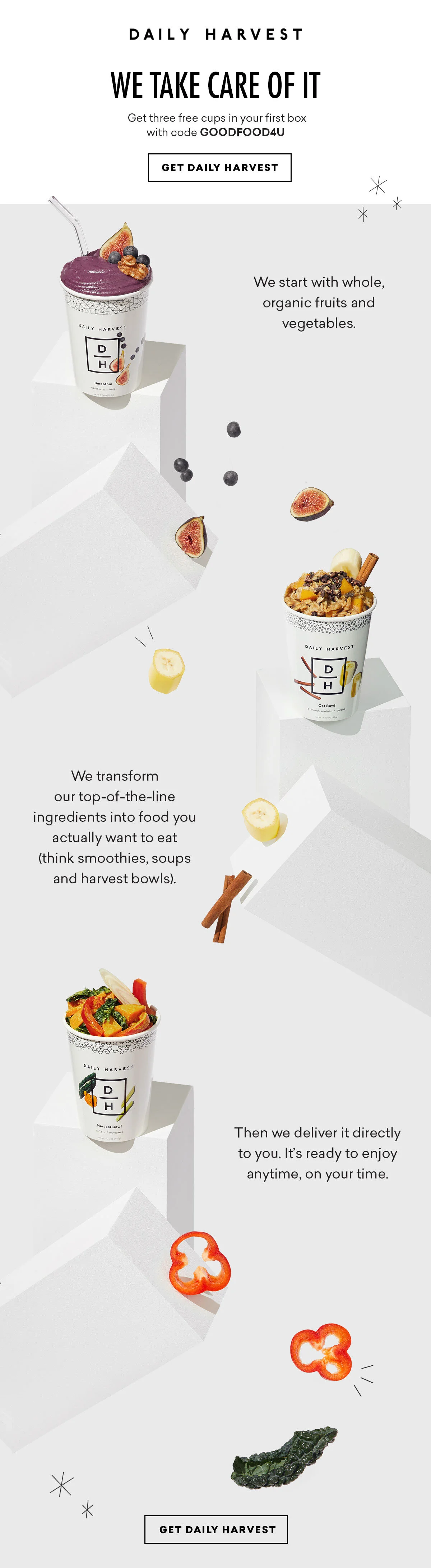 Lead_Email 02 - Day 2_WHOLE.jpeg