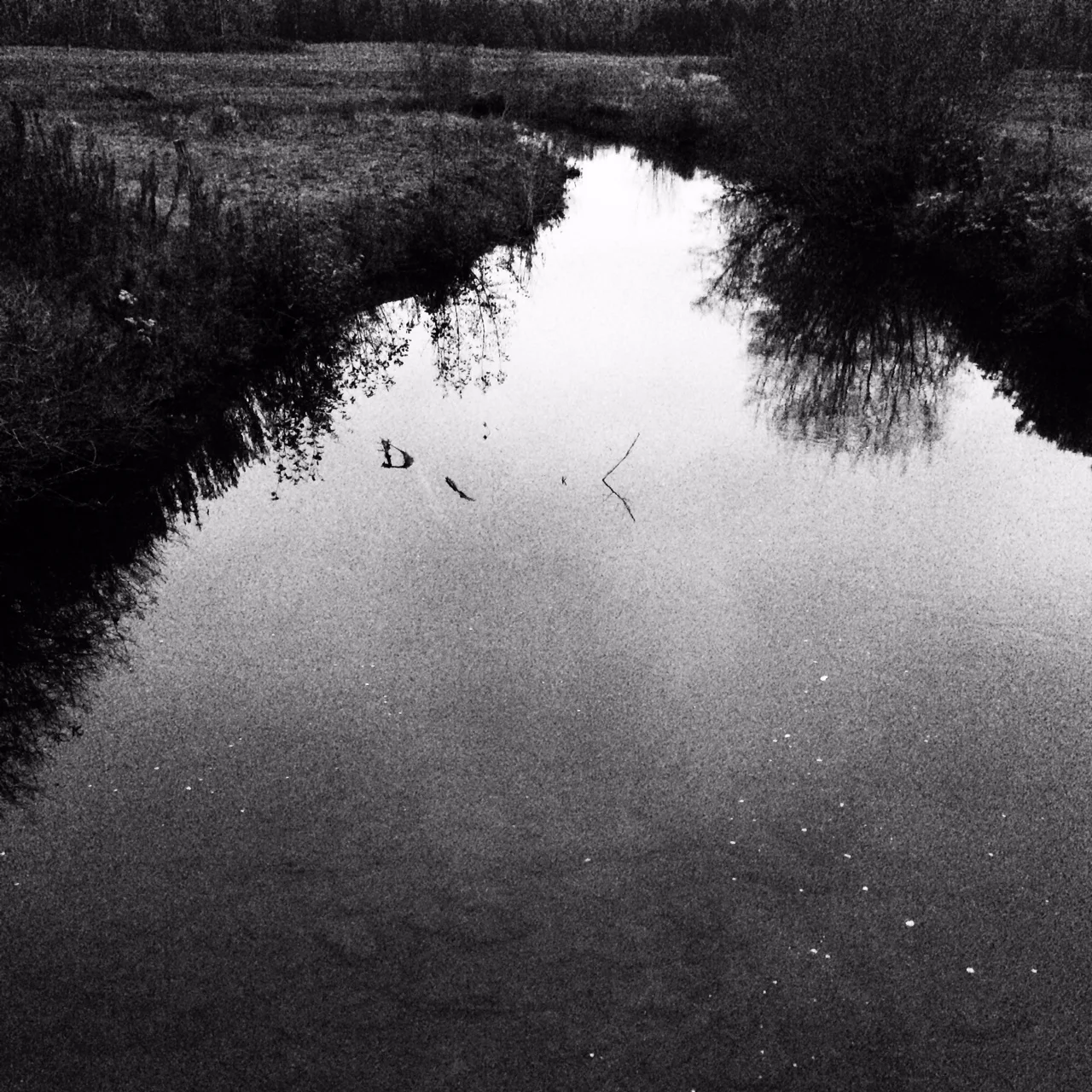 photo 4.JPG