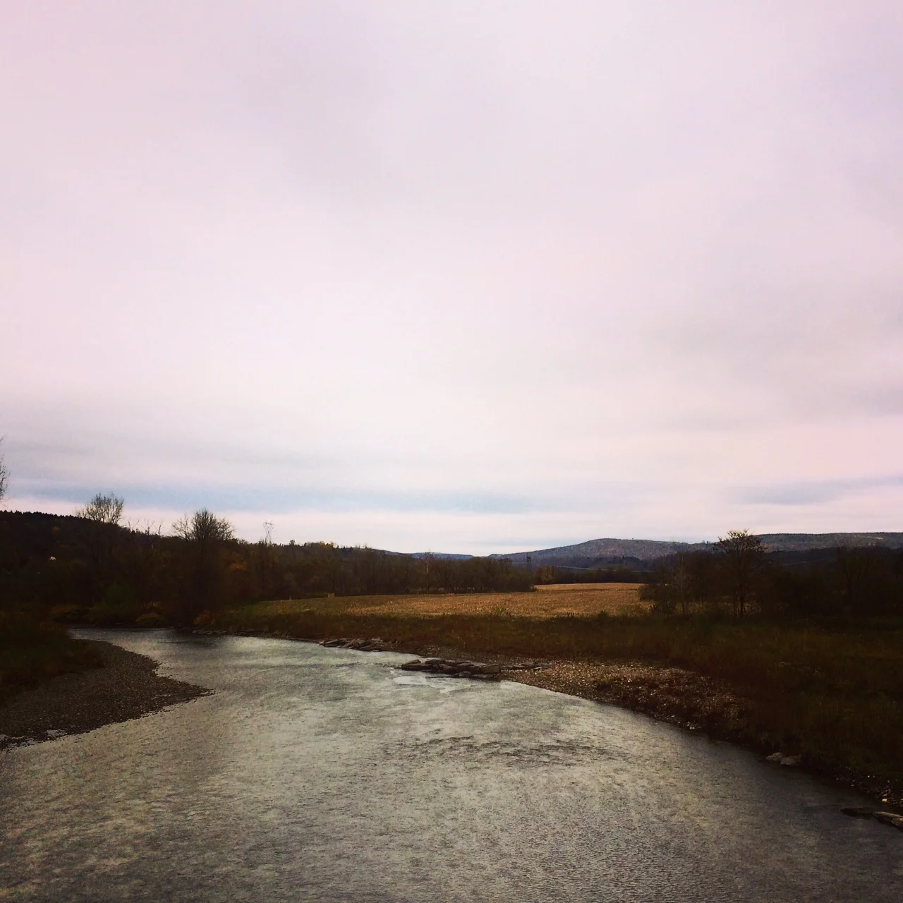 photo 4 copy.JPG