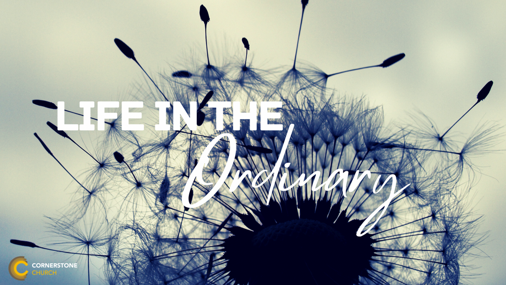 Life+in+the+ordinary.png